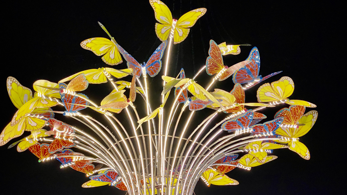 Tận mắt thấy gia đình chuột ở khu lấn biển lớn nhất Việt Nam ảnh 6