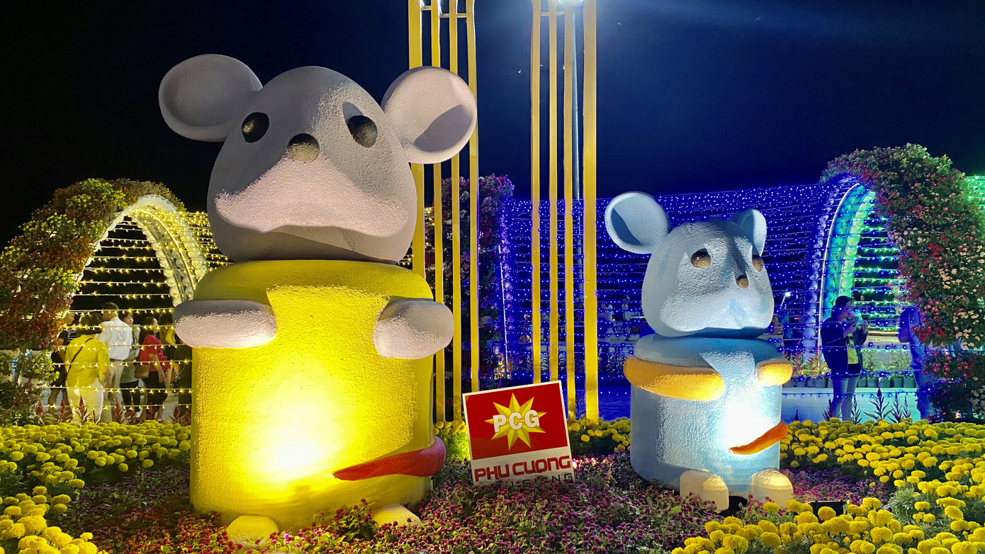 Tận mắt thấy gia đình chuột ở khu lấn biển lớn nhất Việt Nam ảnh 7