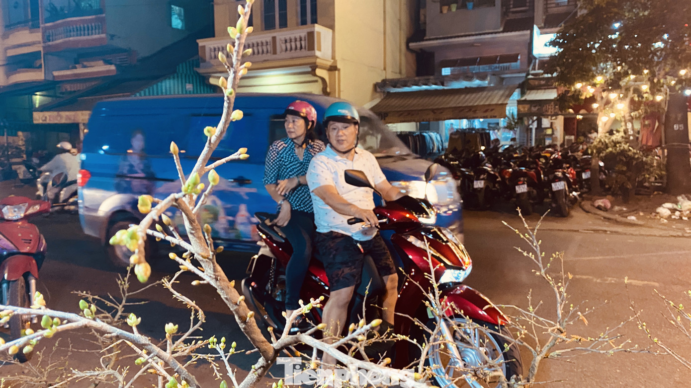 Chợ hoa 'trên bến dưới thuyền' nhộn nhịp về đêm ảnh 5