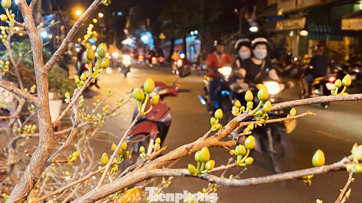 Chợ hoa 'trên bến dưới thuyền' nhộn nhịp về đêm ảnh 3