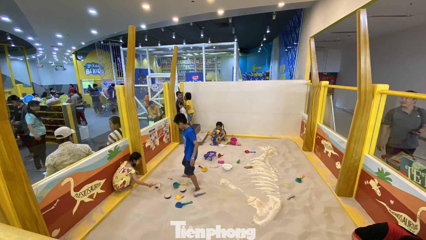 Dân Sài Gòn đổ xô vào siêu thị mua sắm trong ngày đầu năm 2020 ảnh 10