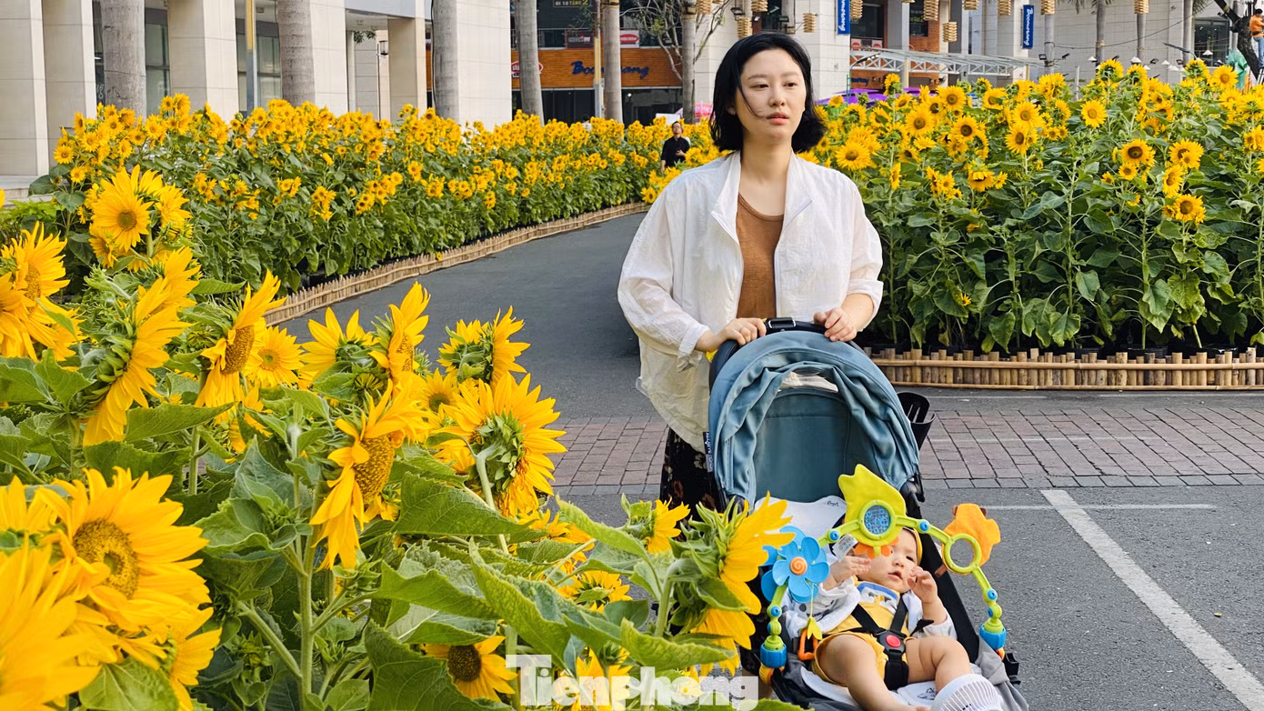 Người Sài Gòn du xuân sớm ảnh 7