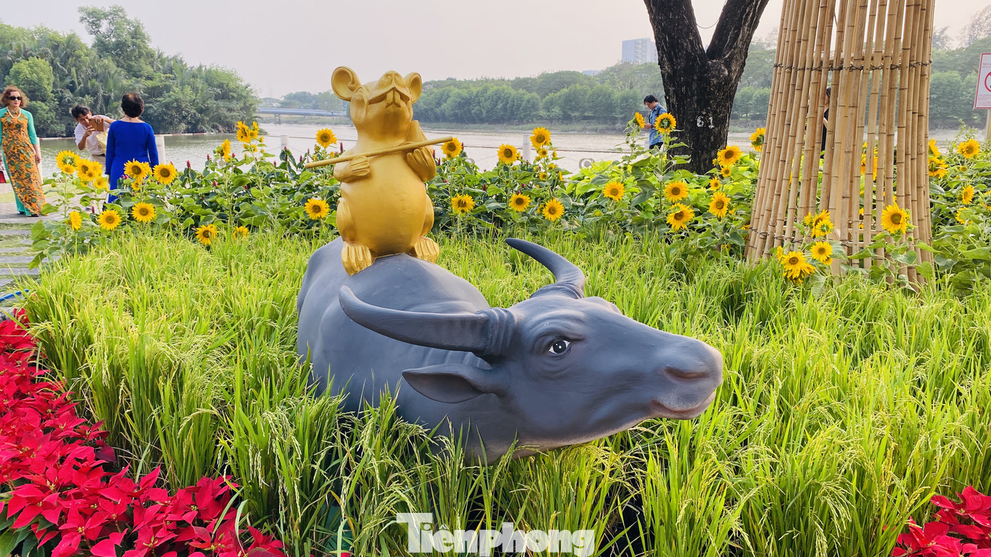 Người Sài Gòn du xuân sớm ảnh 15