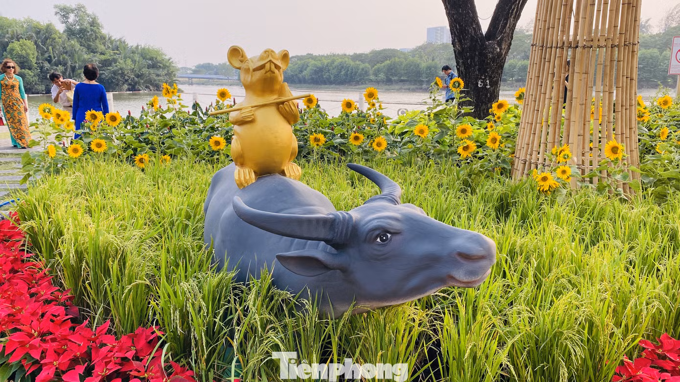 Người Sài Gòn du xuân sớm ảnh 15