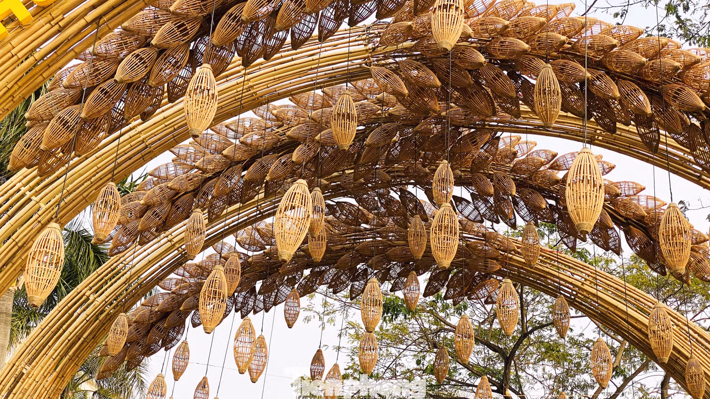 Người Sài Gòn du xuân sớm ảnh 19