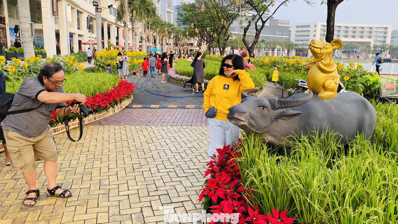 Người Sài Gòn du xuân sớm ảnh 14