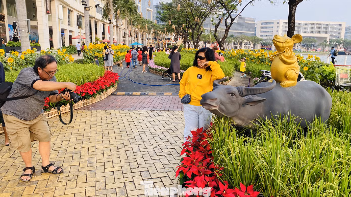 Người Sài Gòn du xuân sớm ảnh 14