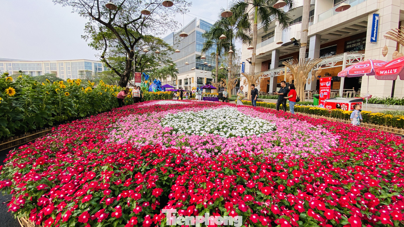 Người Sài Gòn du xuân sớm ảnh 18