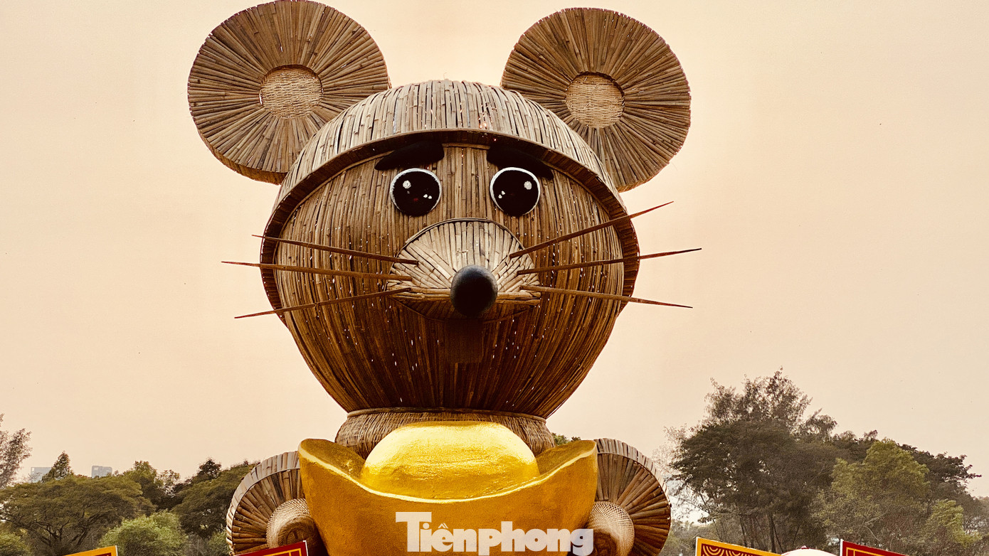 Người Sài Gòn du xuân sớm ảnh 12