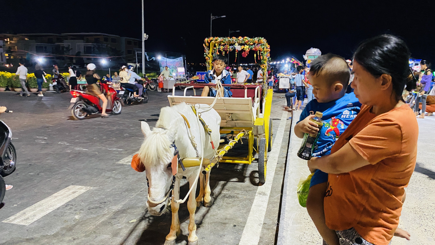 Tận mắt thấy gia đình chuột ở khu lấn biển lớn nhất Việt Nam ảnh 13