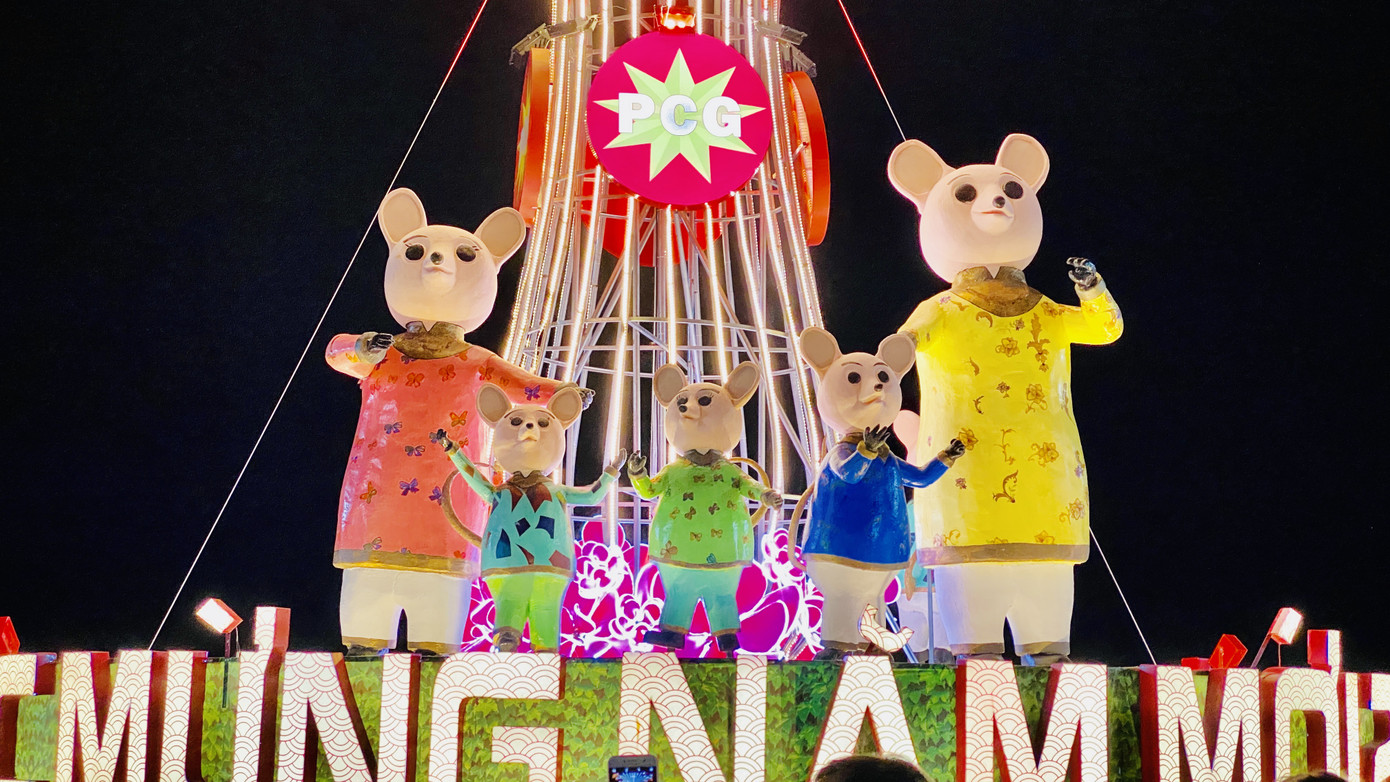 Tận mắt thấy gia đình chuột ở khu lấn biển lớn nhất Việt Nam ảnh 1