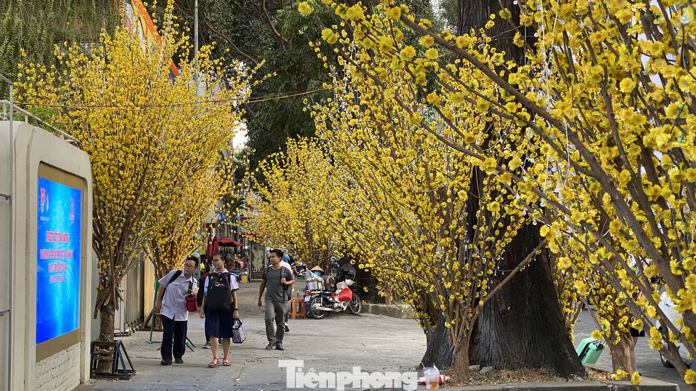 Có một ngày Tết thôn quê giữa lòng Sài Gòn ảnh 2