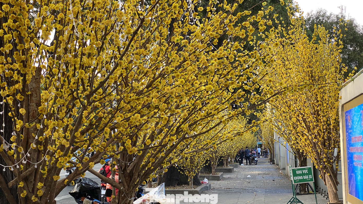 Có một ngày Tết thôn quê giữa lòng Sài Gòn ảnh 3