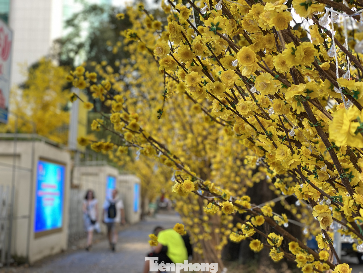 Có một ngày Tết thôn quê giữa lòng Sài Gòn ảnh 4