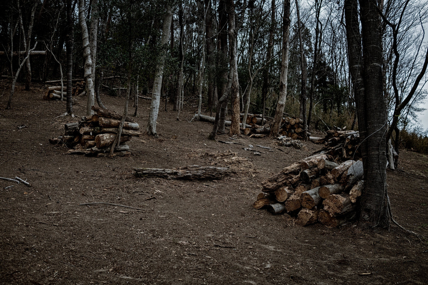 10 năm sau thảm họa kép: Cư dân vừa hạnh phúc, vừa ám ảnh khi trở về Fukushima ảnh 5