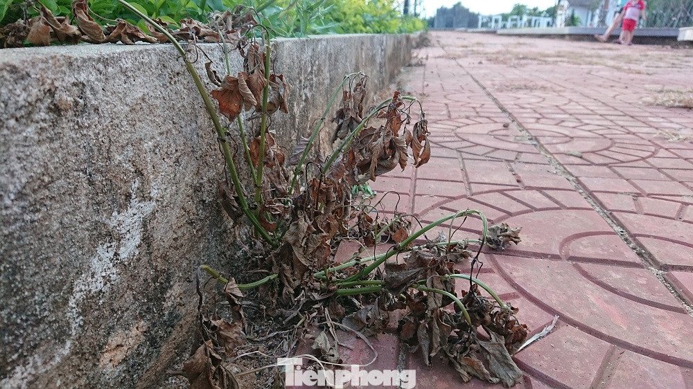 Công viên đội vốn 'tiền tỷ' vừa nghiệm thu đã hỏng ảnh 9