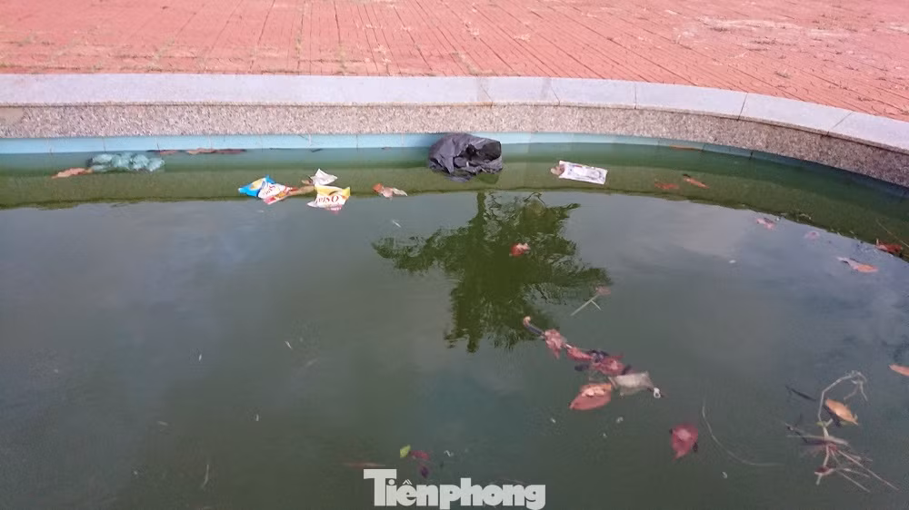 Công viên đội vốn 'tiền tỷ' vừa nghiệm thu đã hỏng ảnh 10