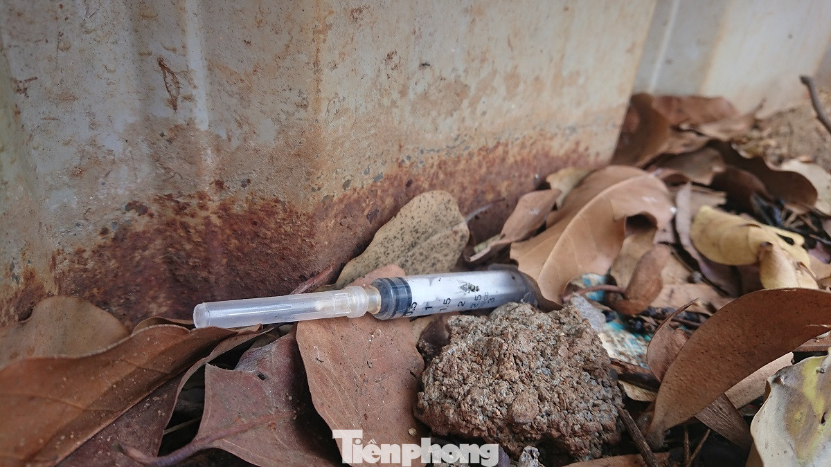 Bỏ hoang đất 'vàng' do năng lực yếu, hay cố tình không thu hồi? ảnh 3