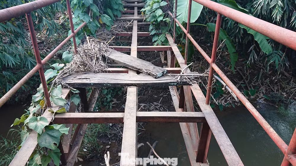 Khu di tích lịch sử cấp Quốc gia xuống cấp nghiêm trọng ảnh 9