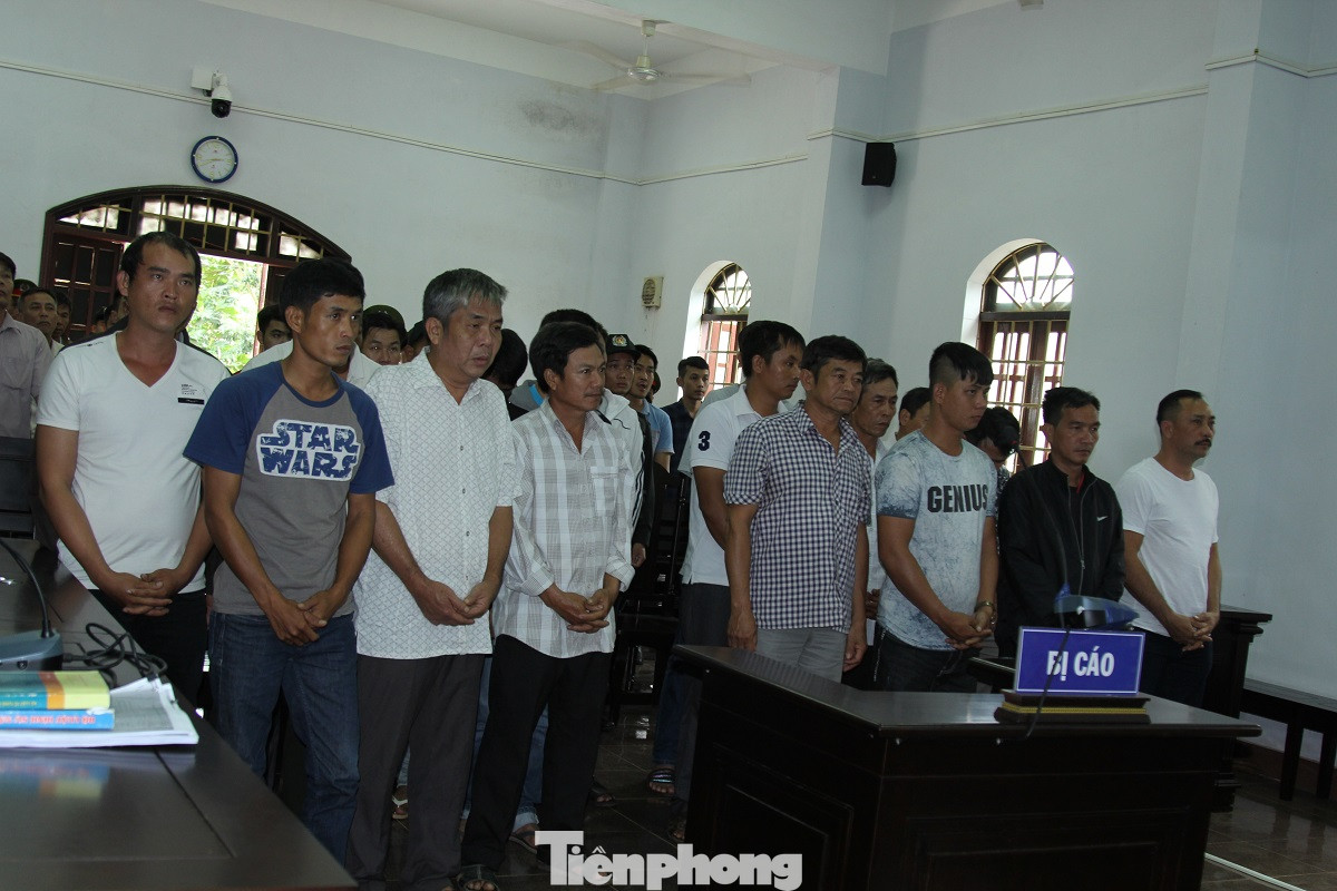 Trùm gỗ lậu Phượng 'râu' lĩnh 102 tháng tù giam ảnh 2