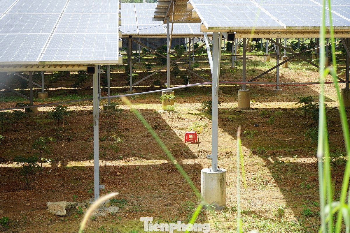 Điện mặt trời 'bát nháo' Buôn Ma Thuột: Trách nhiệm của Cty điện lực ở đâu? ảnh 5
