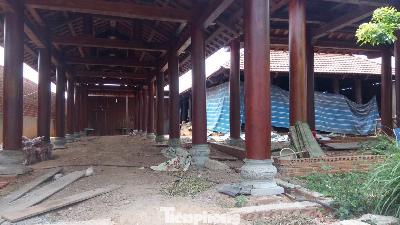 Công an điều tra 4 công ty lâm nghiệp để mất rừng quy mô lớn ảnh 3