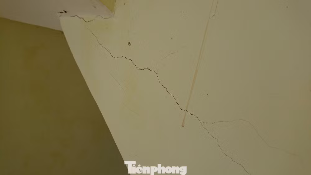 Khu di tích lịch sử cấp Quốc gia xuống cấp nghiêm trọng ảnh 3
