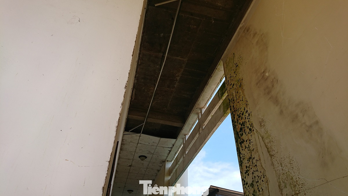 Trung tâm văn hoá xuống cấp, nhếch nhác hơn căn nhà hoang ảnh 7