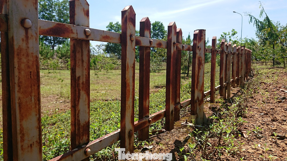 Trung tâm văn hoá xuống cấp, nhếch nhác hơn căn nhà hoang ảnh 3