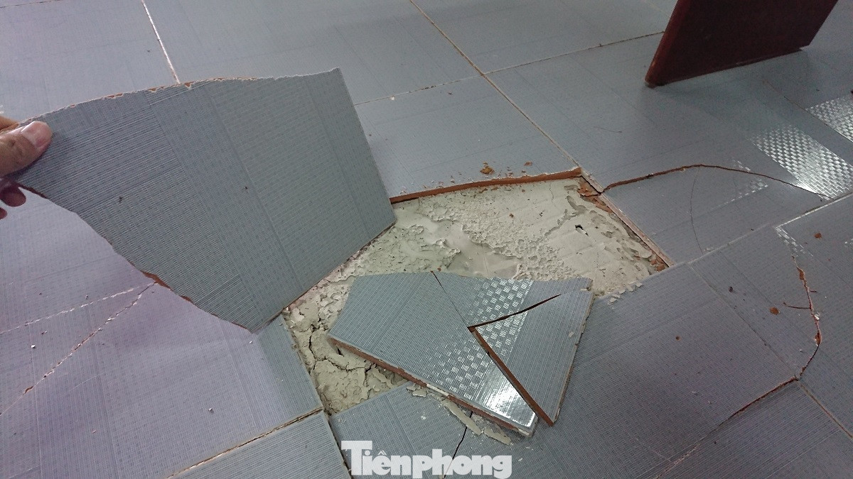 Trung tâm văn hoá xuống cấp, nhếch nhác hơn căn nhà hoang ảnh 5