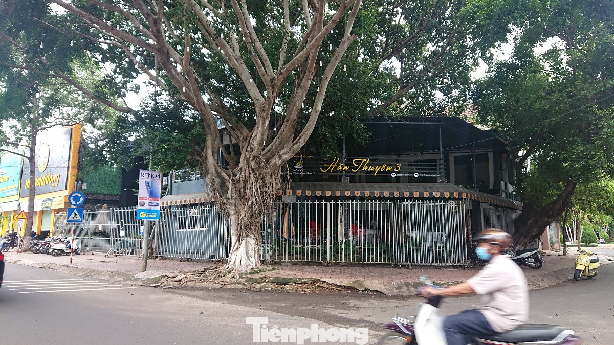 TP Buôn Ma Thuột: Hàng quán đóng cửa sau 'lệnh' cách ly xã hội ảnh 10