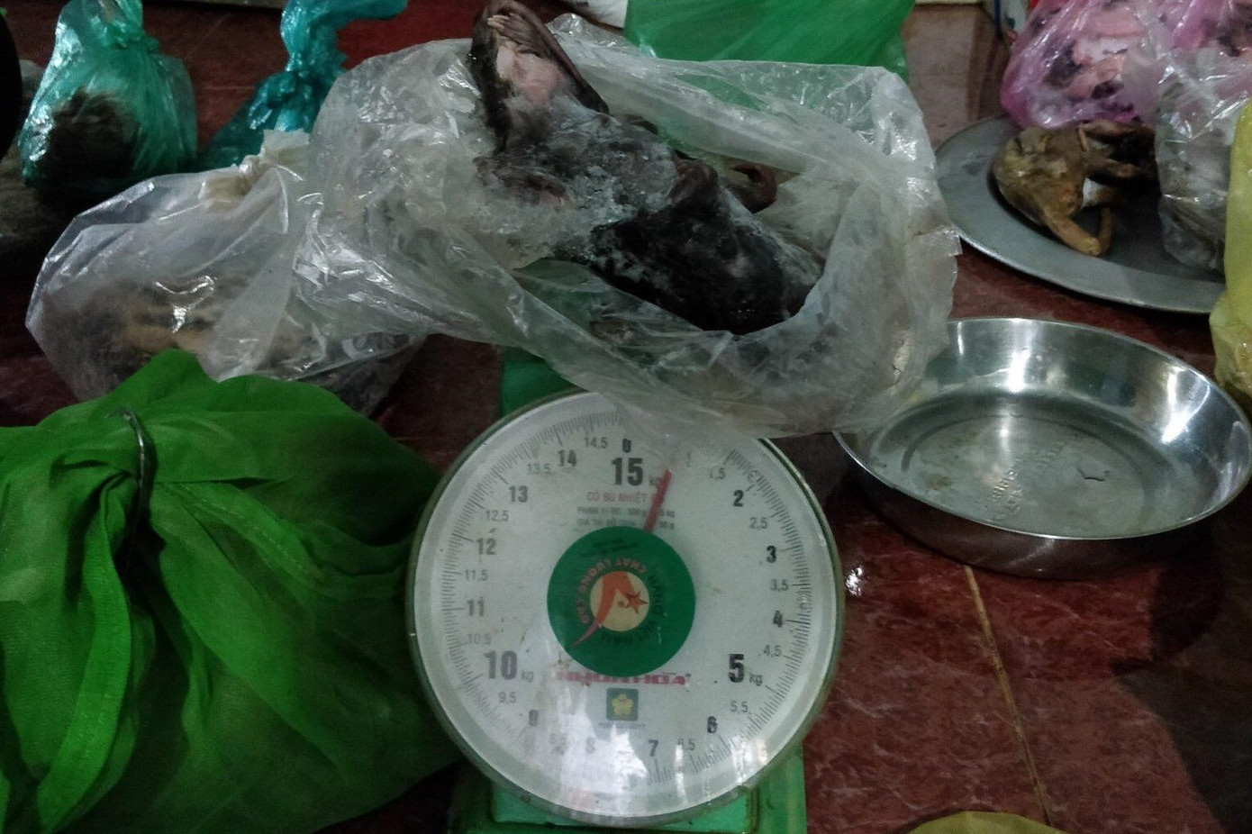 Khởi tố 1 phụ nữ buôn bán động vật hoang dã ảnh 1