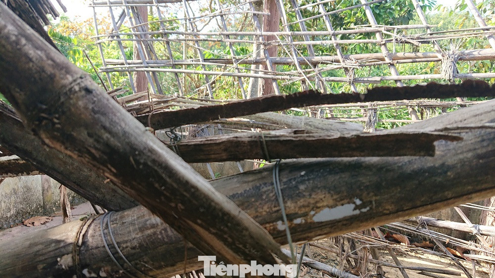 Khu di tích lịch sử cấp Quốc gia xuống cấp nghiêm trọng ảnh 19