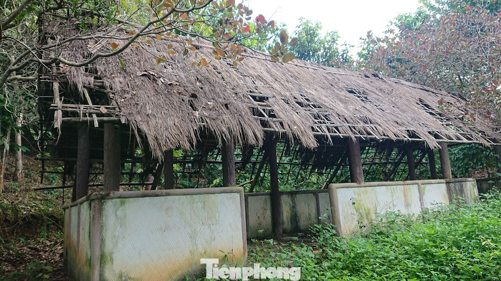 Khu di tích lịch sử cấp Quốc gia xuống cấp nghiêm trọng ảnh 15