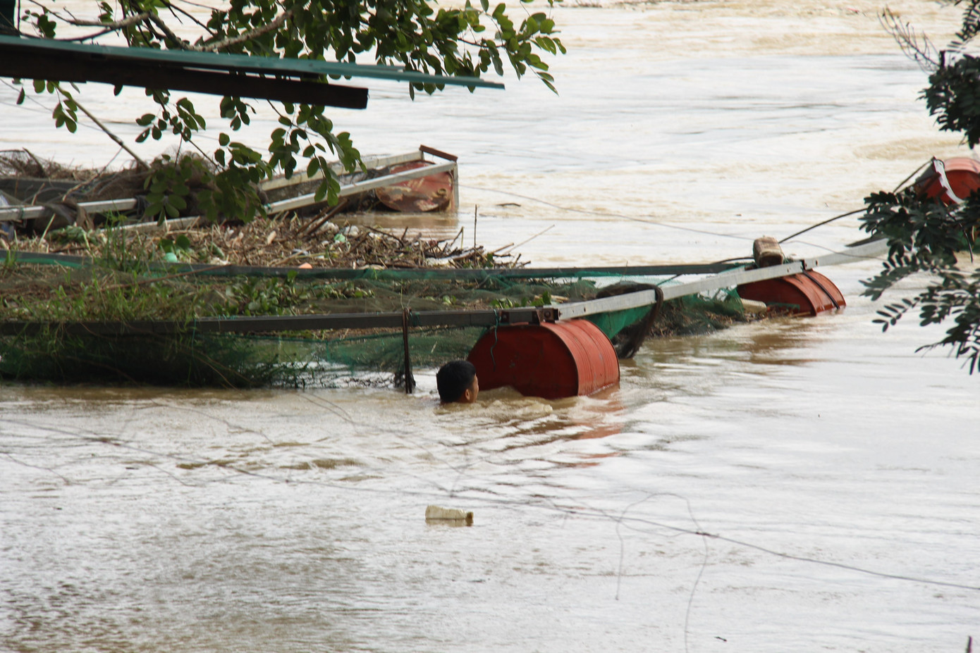 Thủy điện Buôn Kuốp xả nước, dân nuôi cá trắng tay ảnh 1