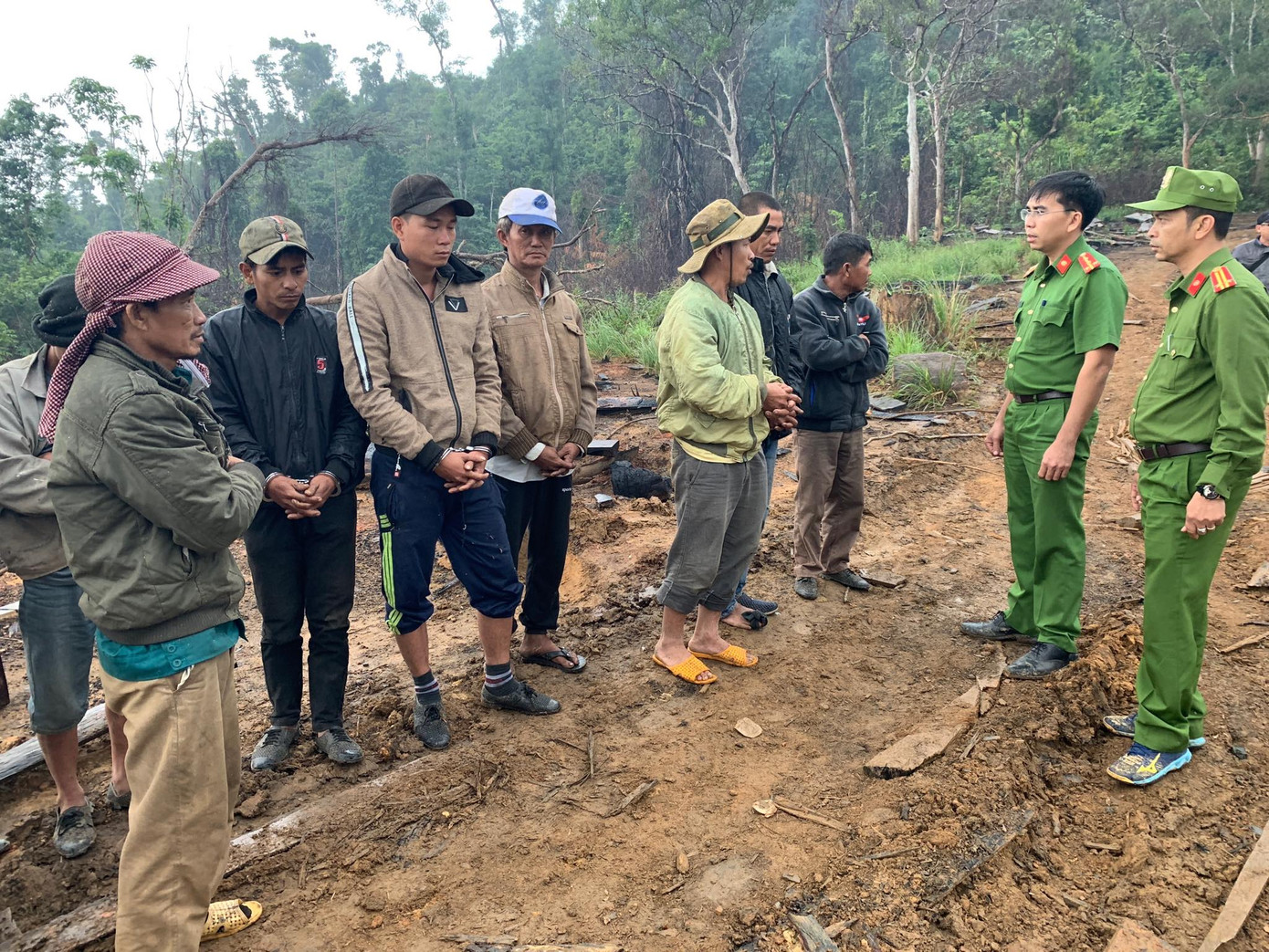 Phát hiện vụ hủy hoại rừng quy mô lớn vùng giáp ranh Đắk Lắk – Khánh Hòa ảnh 1