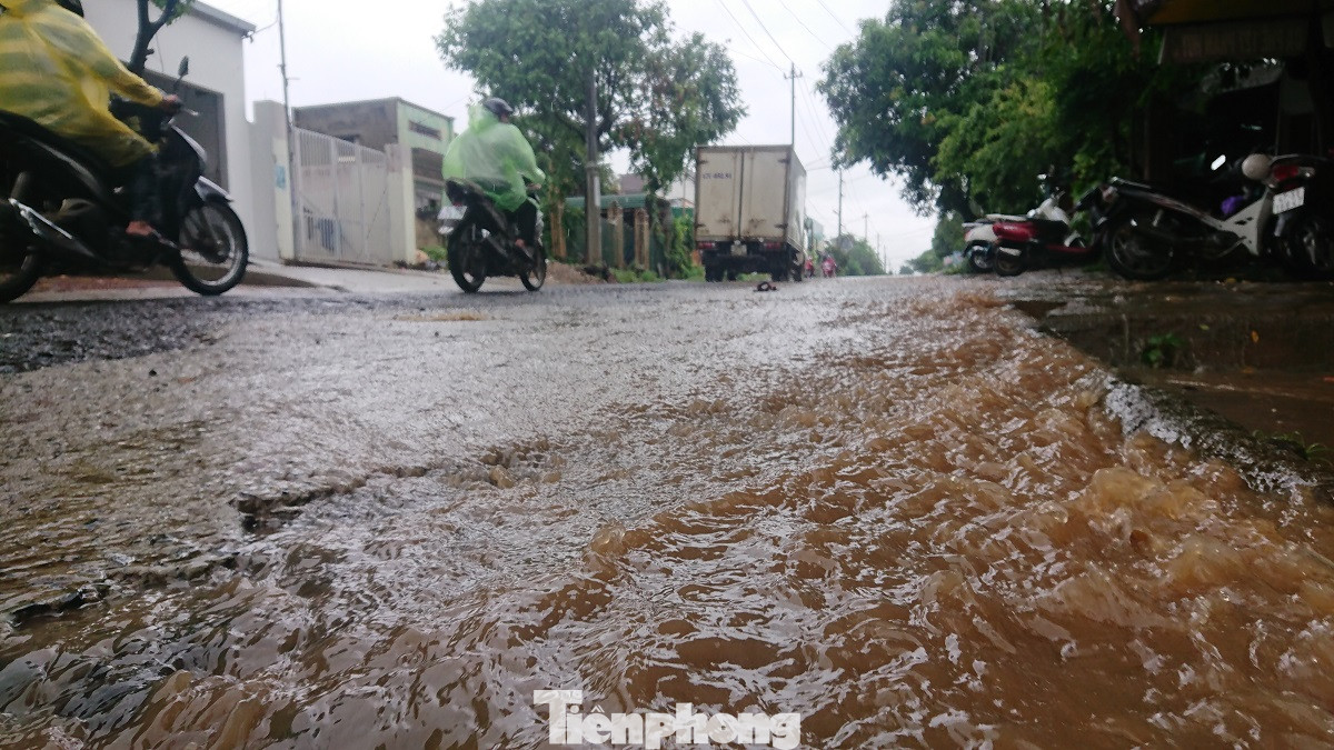 Đánh cược mạng sống trên những con đường dày đặc ‘ổ voi’ ảnh 2