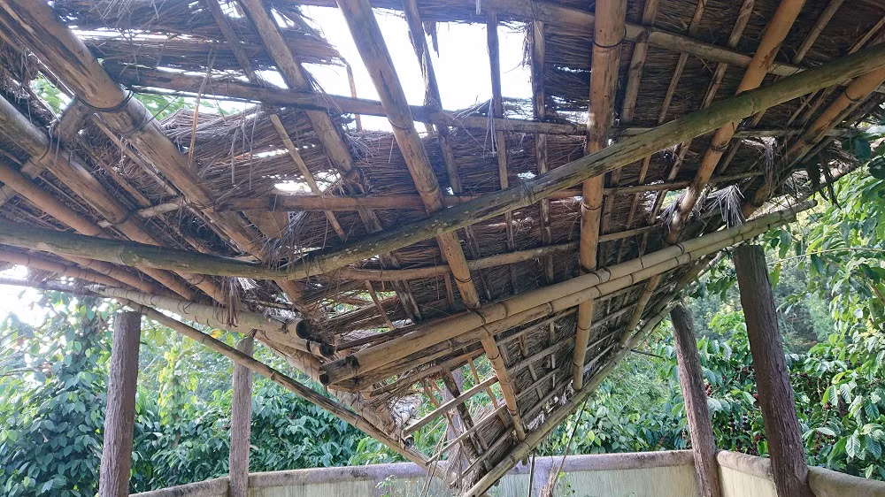 Khu di tích lịch sử cấp Quốc gia xuống cấp nghiêm trọng ảnh 20
