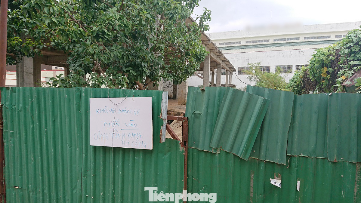 Bỏ hoang đất 'vàng' do năng lực yếu, hay cố tình không thu hồi? ảnh 1