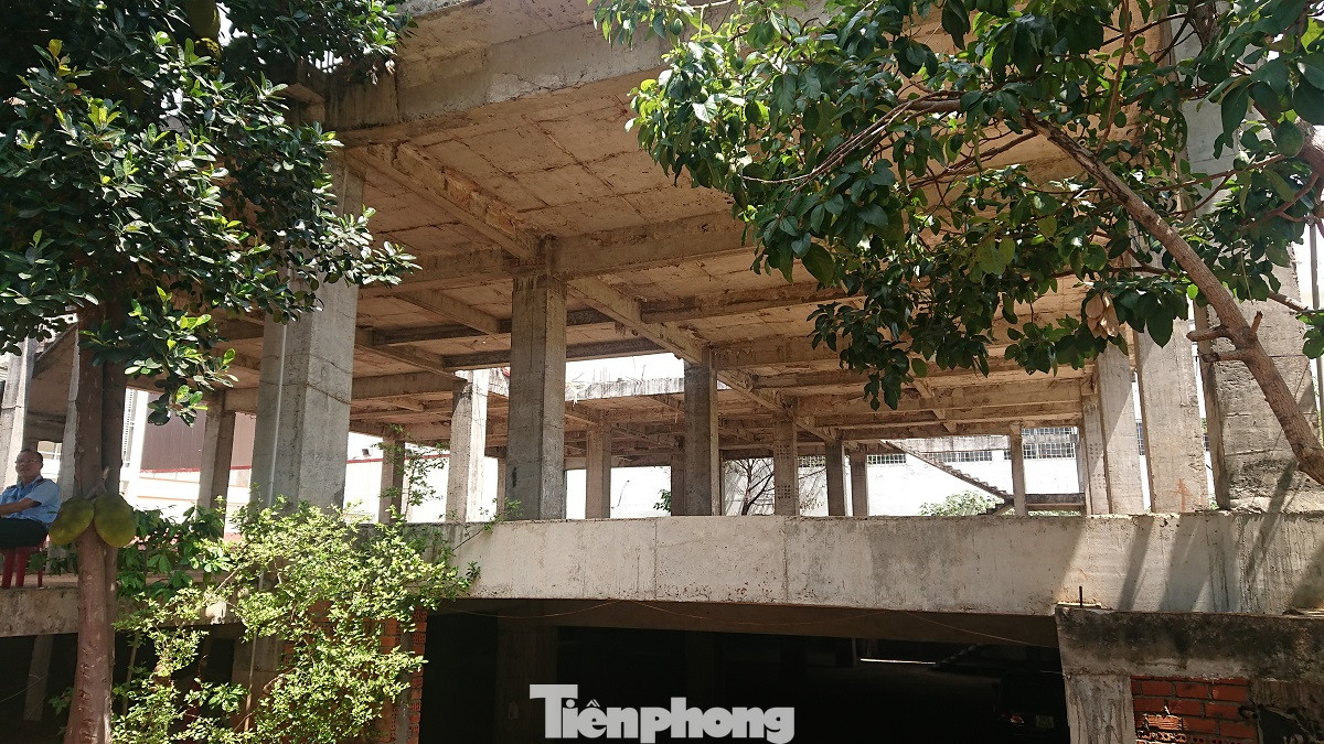 Bỏ hoang đất 'vàng' do năng lực yếu, hay cố tình không thu hồi? ảnh 7