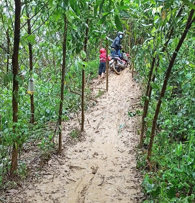 Quốc lộ 'đứt làm đôi', dân băng rừng, lội suối đi làm ảnh 2