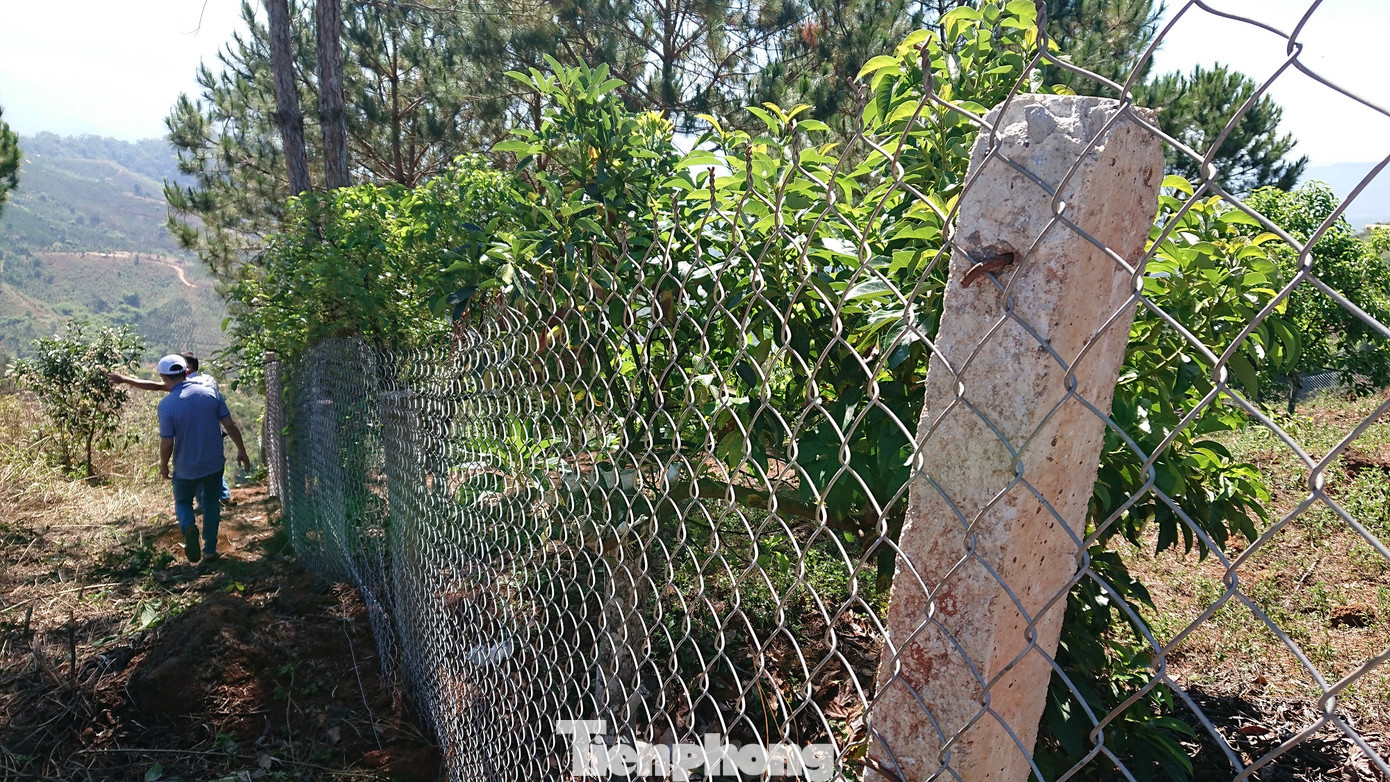 Những nhát chém bức hại 'vịnh Hạ Long trên núi' ảnh 15