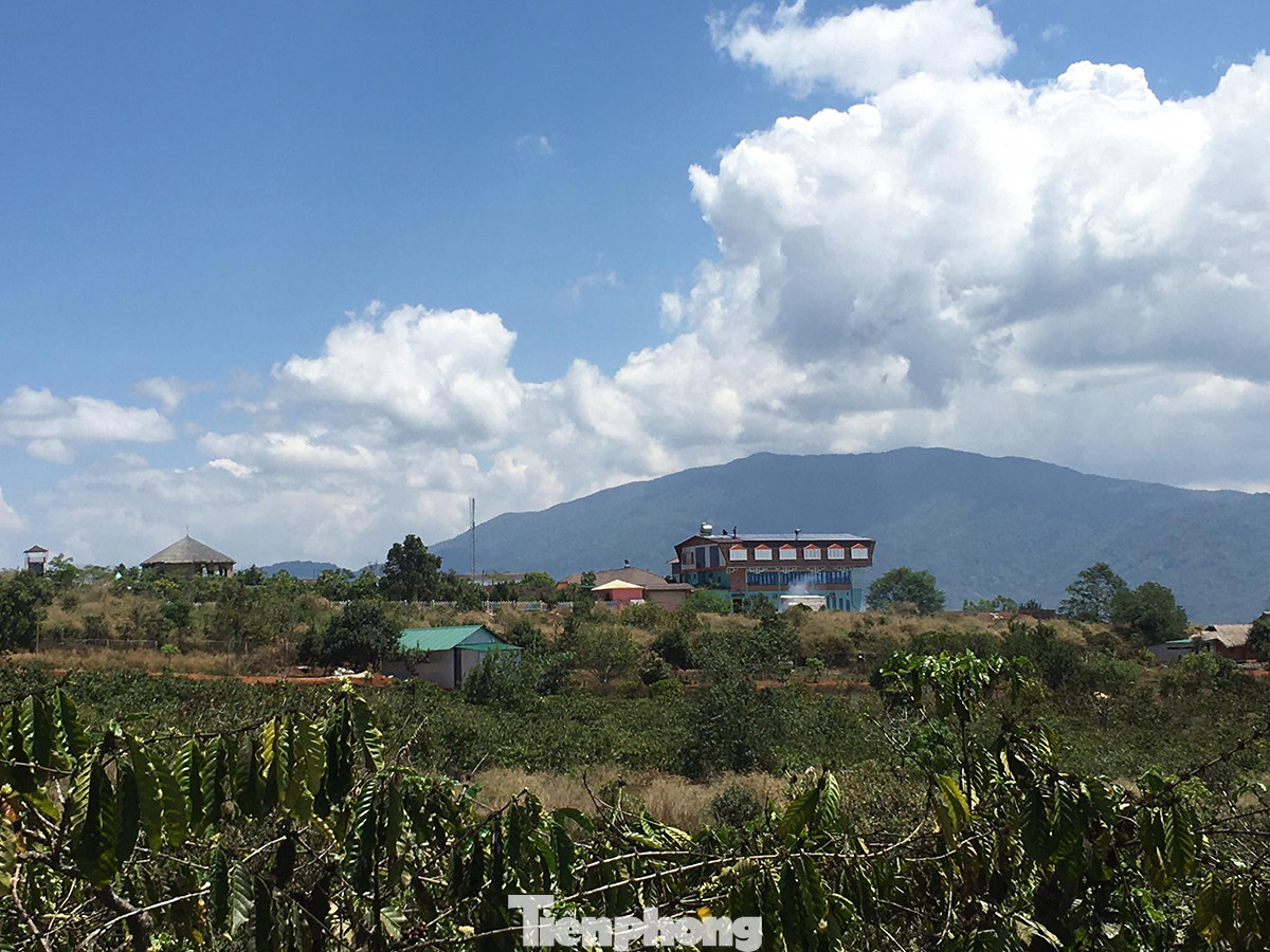 Những nhát chém bức hại 'vịnh Hạ Long trên núi' ảnh 3