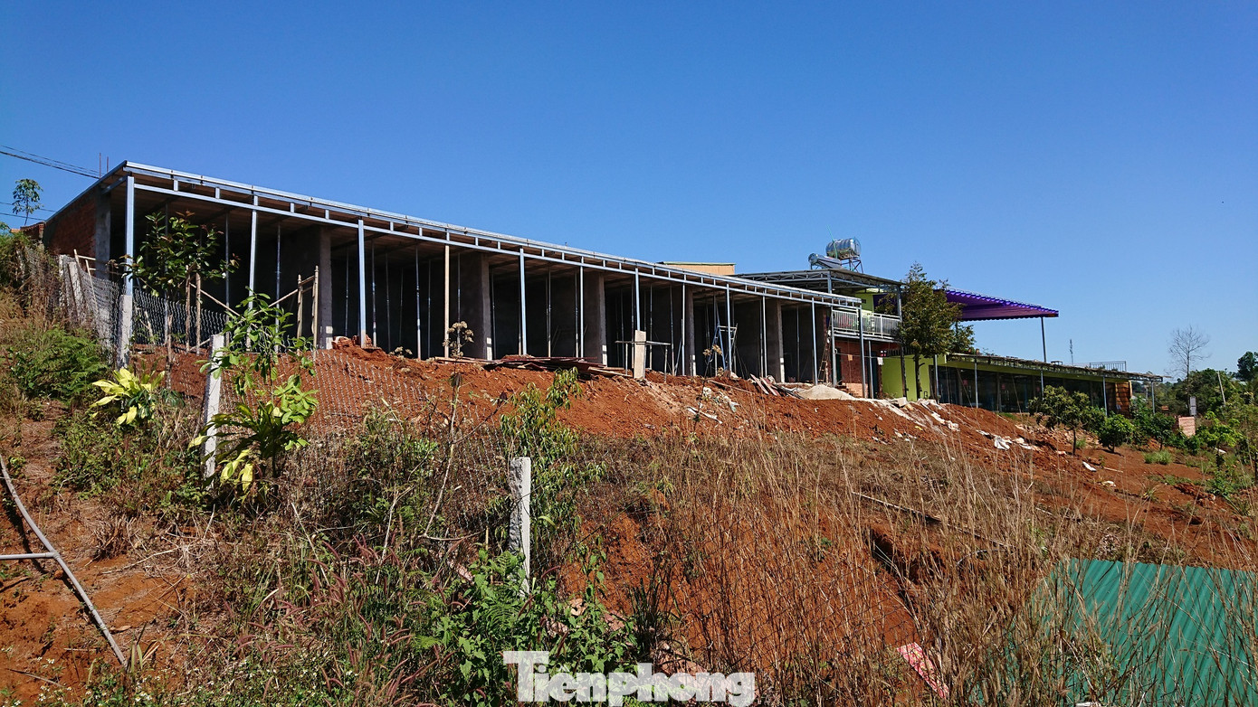 Những nhát chém bức hại 'vịnh Hạ Long trên núi' ảnh 11