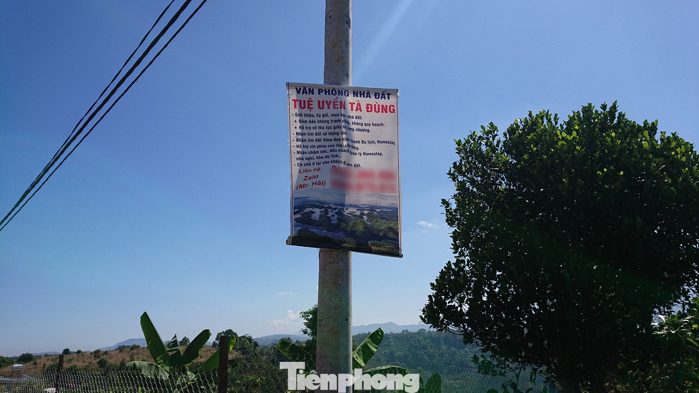 Những nhát chém bức hại 'vịnh Hạ Long trên núi' ảnh 14