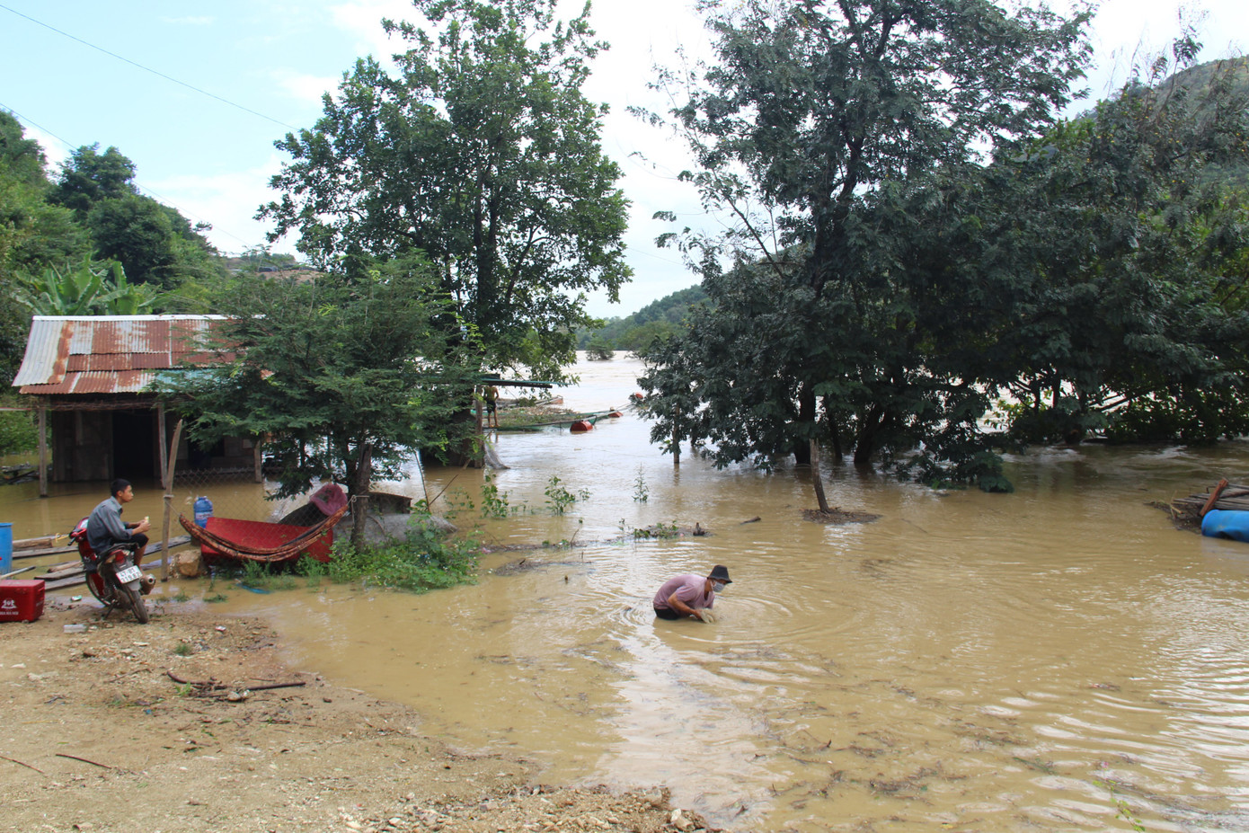 Thủy điện Buôn Kuốp xả nước, dân nuôi cá trắng tay ảnh 3