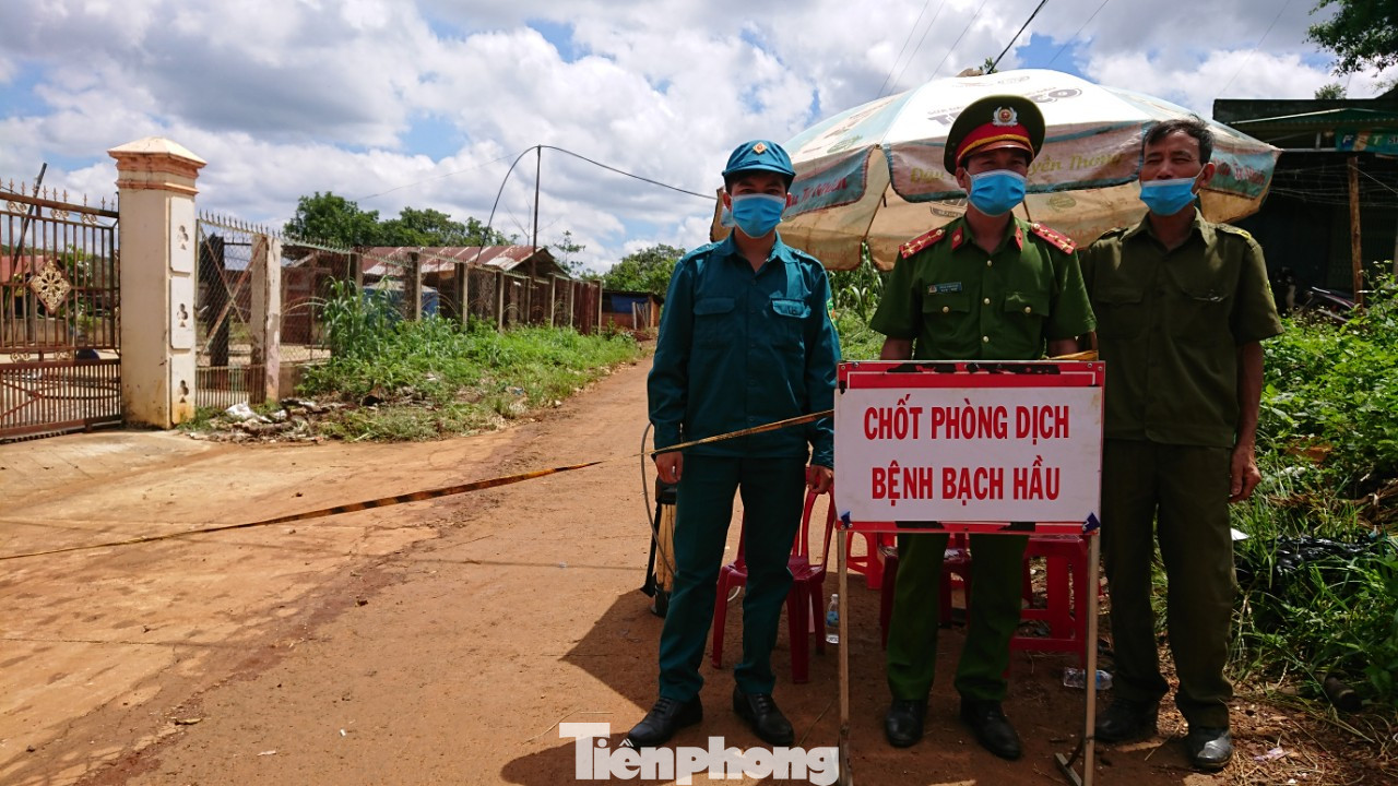 2 ca mới bạch hầu ở Đắk Nông: Hơn 600 học sinh phải khám sàng lọc ảnh 6