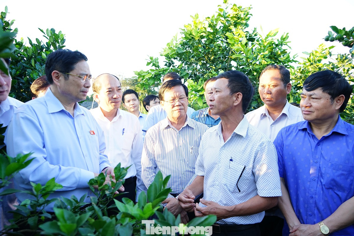 Trưởng ban Tổ chức Trung ương: Phải xử lý pin mặt trời sau khi kết thúc dự án ảnh 2