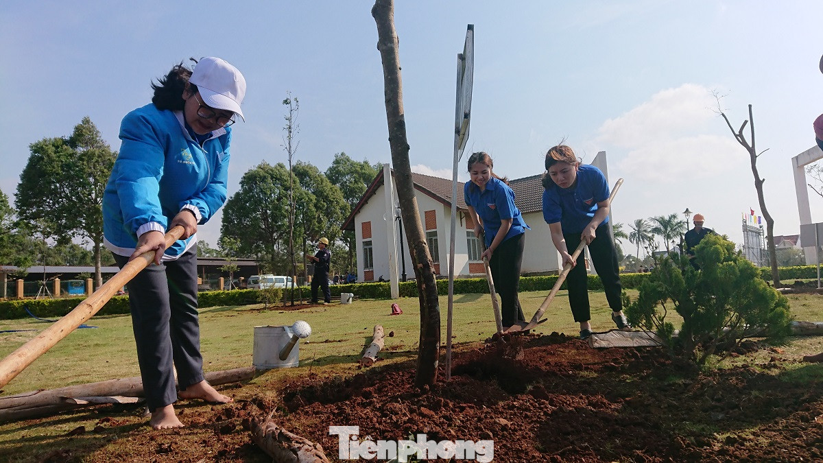 Tuổi trẻ là hạt nhân đi đầu làm cho thành phố xanh-sạch-đẹp hơn ảnh 3