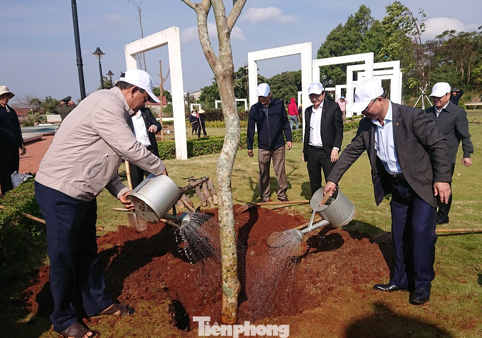 Tuổi trẻ là hạt nhân đi đầu làm cho thành phố xanh-sạch-đẹp hơn ảnh 6